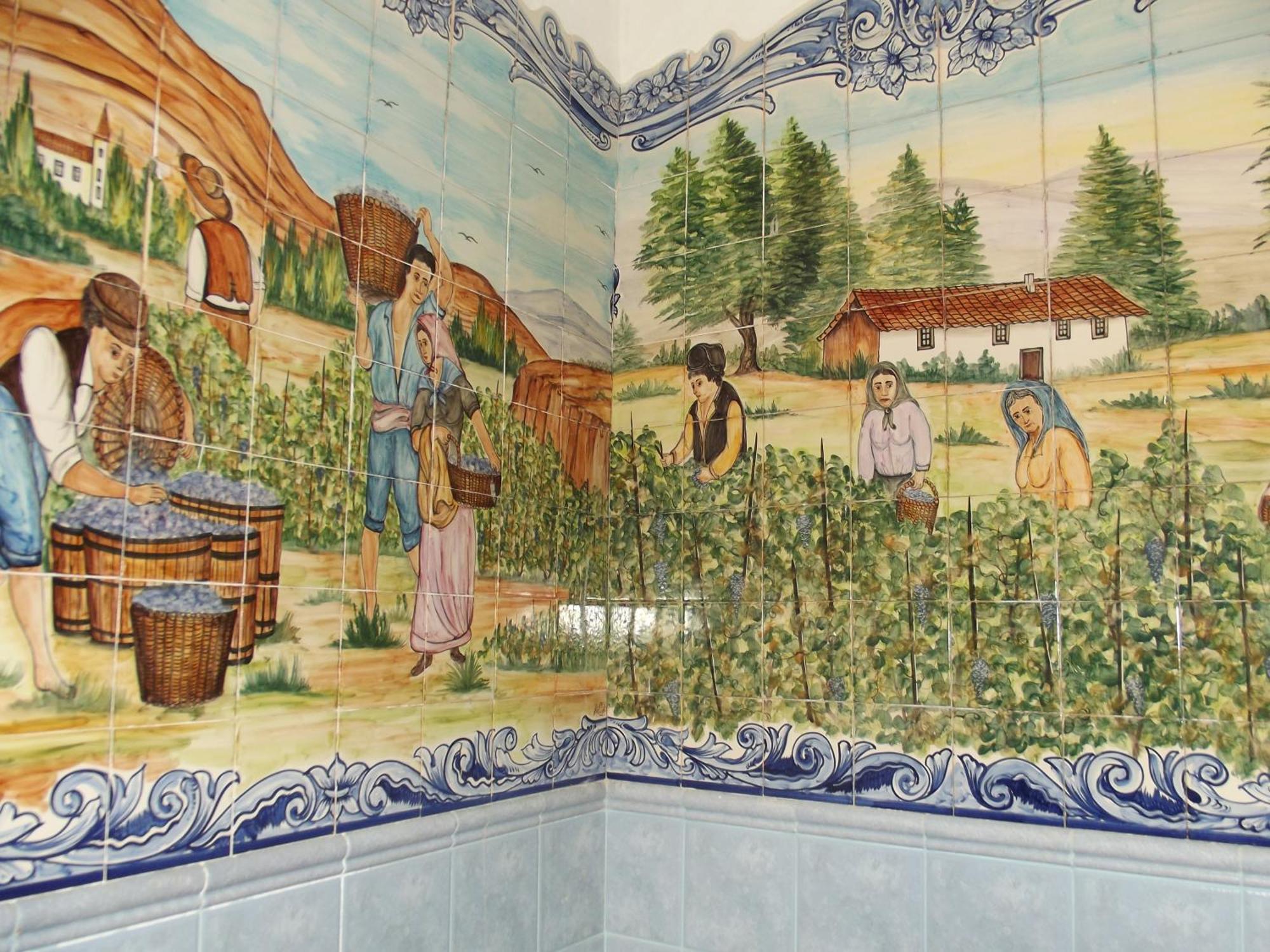 Hotel Casa Do Brasao Tabuaço Zewnętrze zdjęcie